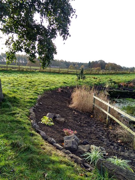 Green algae on pond — BBC Gardeners' World Magazine