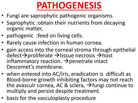 Fungal corneal ulcer