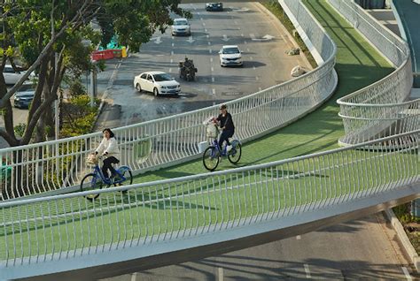 China's eight-kilometre 'bike lane in the sky' opens in Xiamen