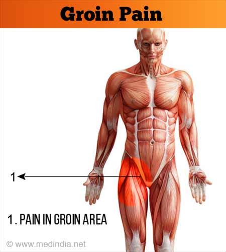 Male Groin Pain