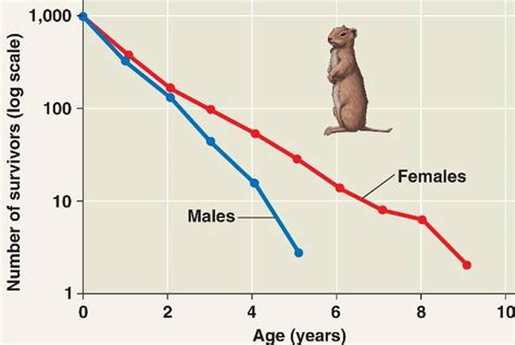 survivorship_curve.html 53_05SquirrelSurvCurve-L.jpg