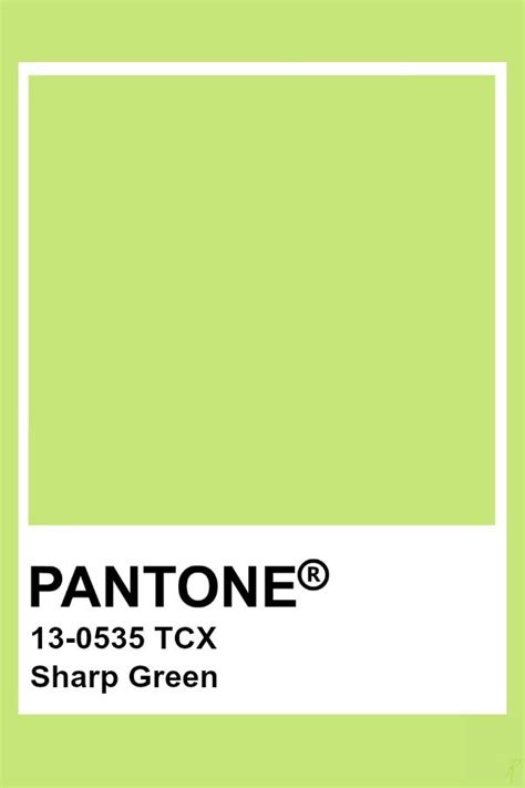 Pantone Sharp Green | Pantone green, Pantone color chart, Pantone tcx