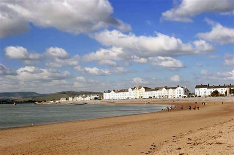 Can You Take Dogs On Exmouth Beach