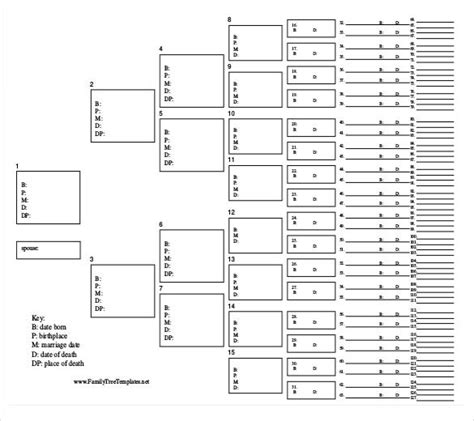 36+ Family Tree Templates - Word, PDF, PSD, Apple Pages | Arbol genealogico, Genealogía, Arbol ...