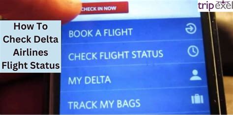 How To Check Delta Airlines Flight Status: Track Your Delta Flights