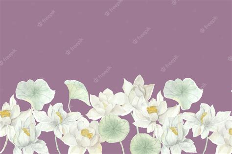 Premium Vector | White Lotus Watercolor Flower Background