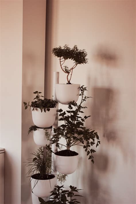 Indoor Herb Garden For The Modern Home Featuring Design Within Reach — Go French Yourself