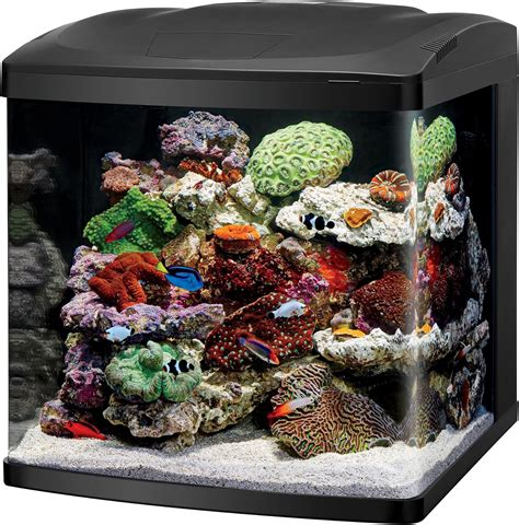 The 5 Best 40 Gallon Fish Tanks Available In Market