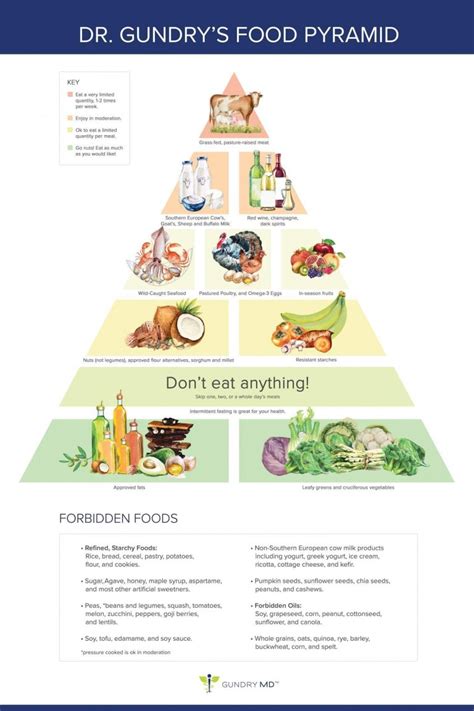 The “Gundry Food Strategy” for Vitality