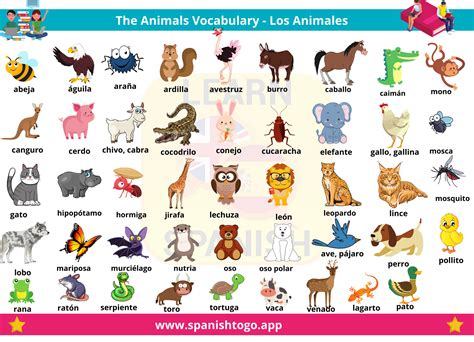 Animals In Spanish Chart