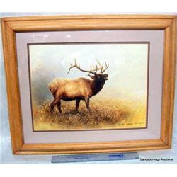 FRAMED WILDLIFE PRINTS