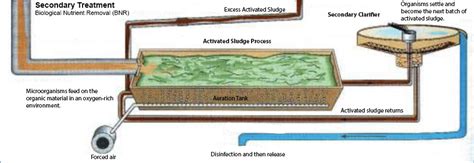 The Activated Sludge Process