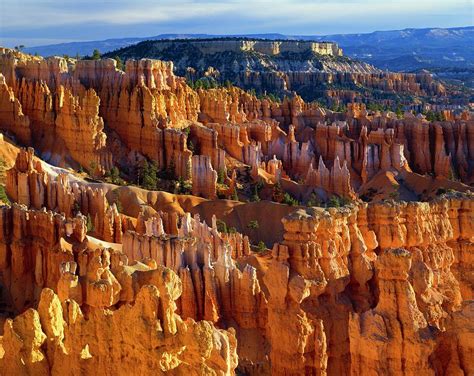 Hoodoo Rock Formations, Bryce Canyon by Design Pics/david L. Brown