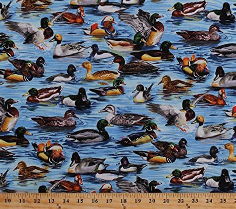 Duck Fabric by the Yard | Kritters in the Mailbox | Duck Fabrics