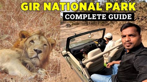 Gir National Park Travel Guide | Gir Lion Jungle Safari Vlog | Sasan ...