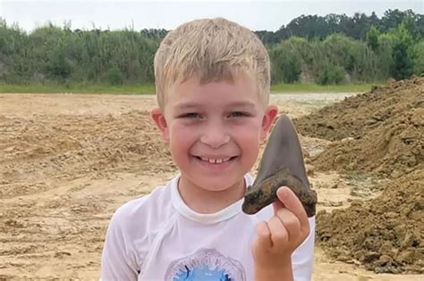 8-year-old finds million year-old prehistoric megashark tooth