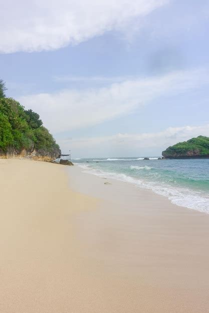 Premium Photo | A beach with a small island in the background