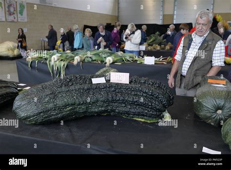 Harrogate Flower Show 2018 Harrogate, Yorkshire, UK. 18th Sept, 2018 ...