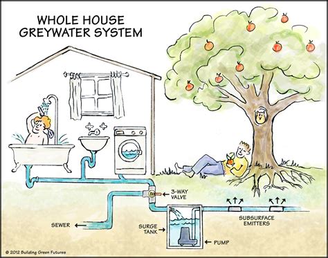 Making Good Use of Greywater on Your Property – 101 Ways to Survive