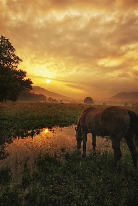 Cades Cove Sunrise Photograph by Deb Campbell - Fine Art America