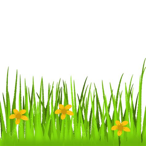 Rumput Hijau PNG Transparent, Rumput Hijau Dengan Bunga Kuning, Rumput Png, Grass Cartoon, Bunga ...