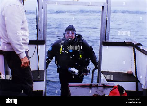 Scuba diving the Farne Islands. Northumberland UK. Diver comes aboard using the dive boats ...