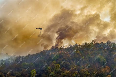 Premium Photo | Firefighting helicopter dropping water on forest fire