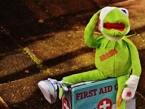kermit, frog, plush, toy, first, aid kit box, first aid, injured, association, blood | Pxfuel