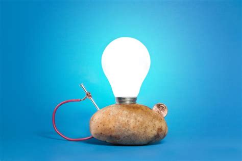 How to Make a Potato Battery | LoveToKnow