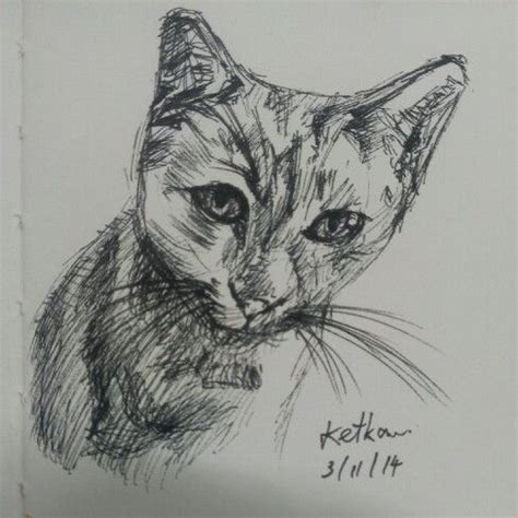 ปักพินโดย Ketkaew ใน Drawing