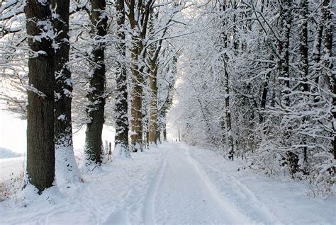 Every Step Matters: News about the MS Walk in Ontario: Winter walking ...