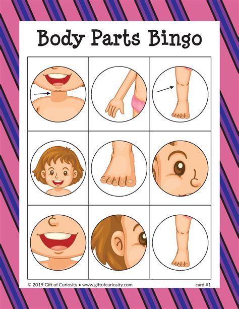 Body Parts Bingo Game | Body parts preschool, Body parts for kids, Body preschool