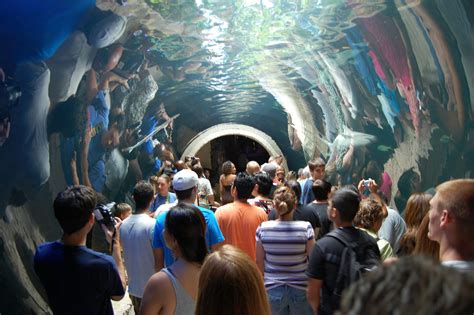 Dallas World Aquarium | Things to Do in Dallas With Kids