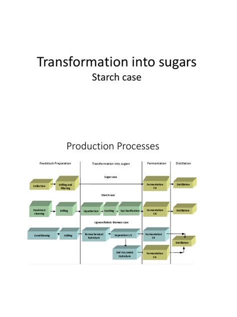 6. Enzymatic Starch Hydrolysis | Starch | Hydrolysis