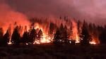 ‘Adjust your reality’: Oregon’s fire season is in full swing - OPB