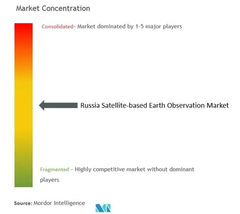 Russia Satellite-based Earth Observation Market Share