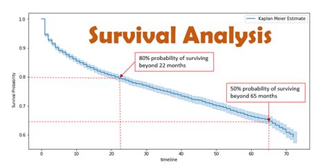 Survival Analysis: Intuition & Implementation in Python