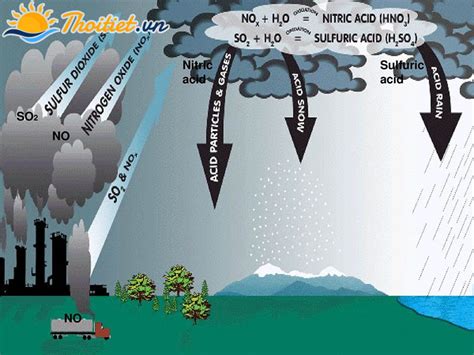 Mưa axit là gì? nguyên nhân, tác hại và các biện pháp giúp khắc phục mưa axit