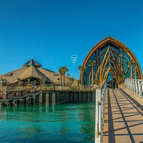 20 best Banana Island Qatar images on Pinterest