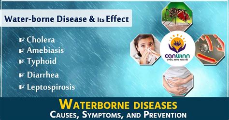 Waterborne Diseases: Causes, Symptoms, and Prevention - CanWinn Foundation