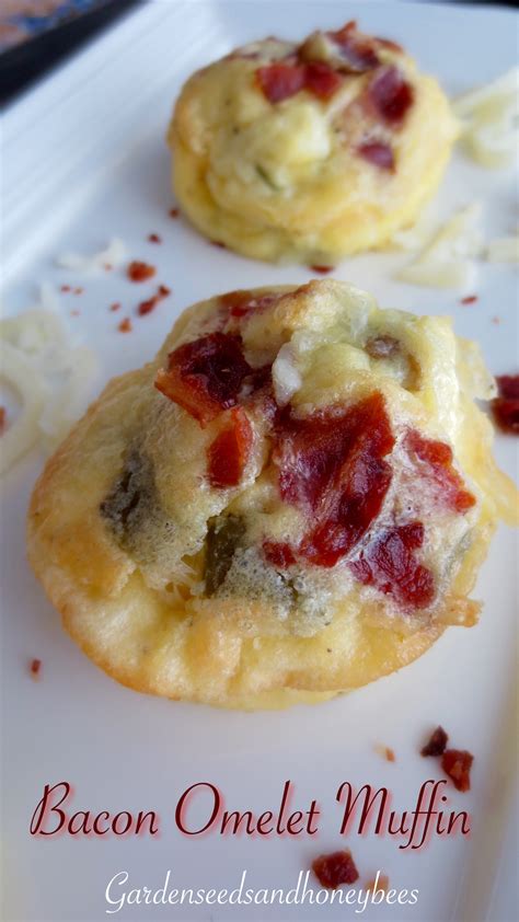 Bacon Omelet Muffins - Garden Seeds and Honey Bees