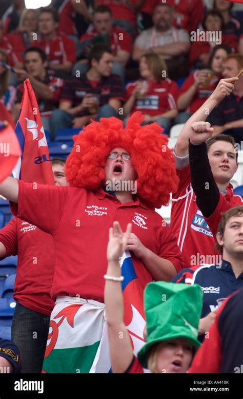 Llanelli scarlets supporters at heineken cup semi final leicester ...