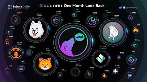 What is the Solana ecosystem behind SOL's stratospheric rise?