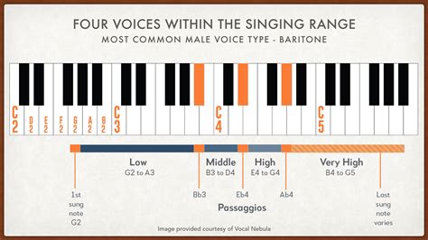 Bass Vocal Frequency Range at James Arrington blog