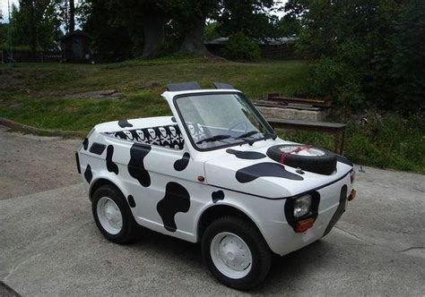 STRANGE LITTLE COW CAR - MINI CONVERTIBLE | Funny looking cars, Car humor, Small cars