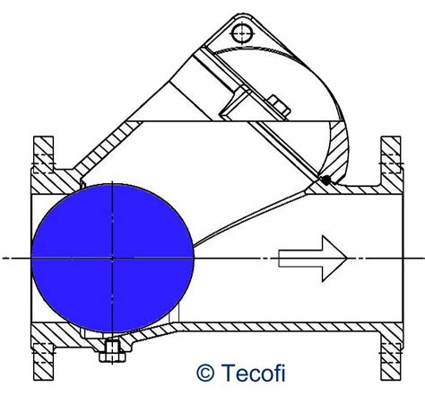 ball check valve diagram What are critical check valves