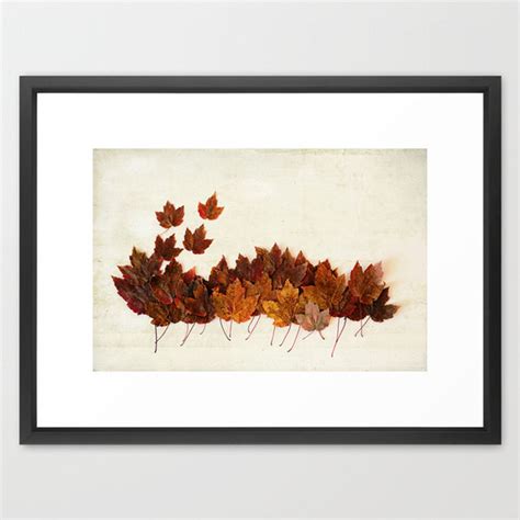 Maple Leaf Photography Autumn Color Photograph Nature Photography Fall ...