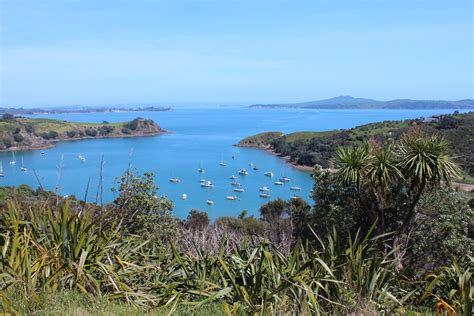 Top 5 Auckland Islands