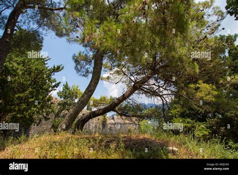 Spanish Fortress Herceg Novi in Montenegro Stock Photo - Alamy