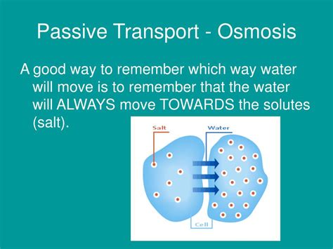 PPT - Cellular Transport Notes PowerPoint Presentation, free download - ID:3122612